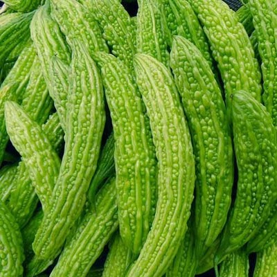 从田间到餐桌的全产业链 农业领域的细分与商机